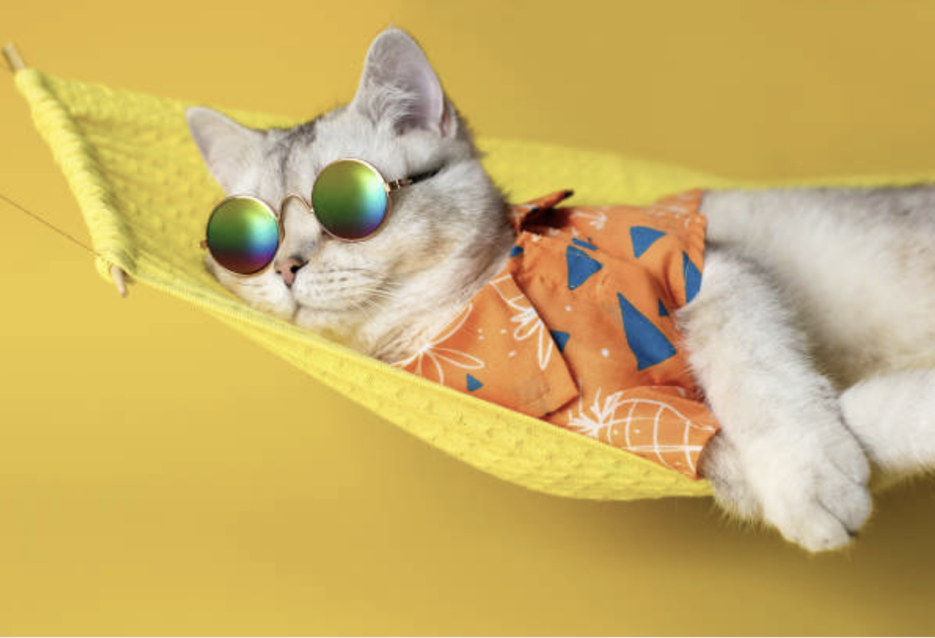 Kanigen Works Benelux Fermeture d'été annuelle